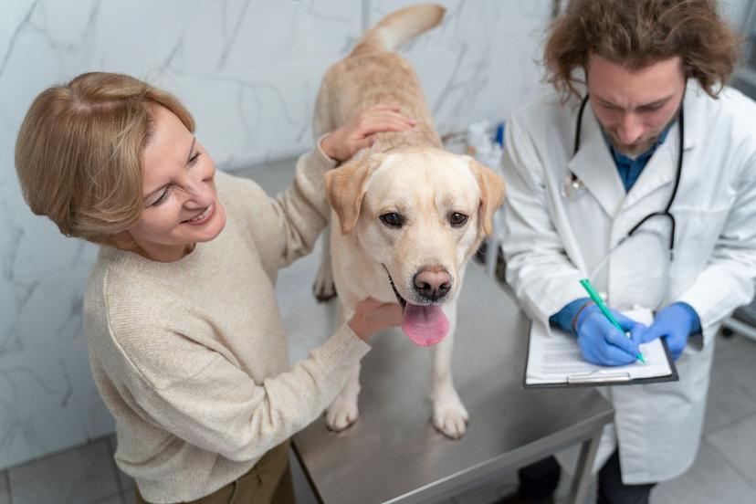 Recognizing Signs of Illness: When to See the Vet